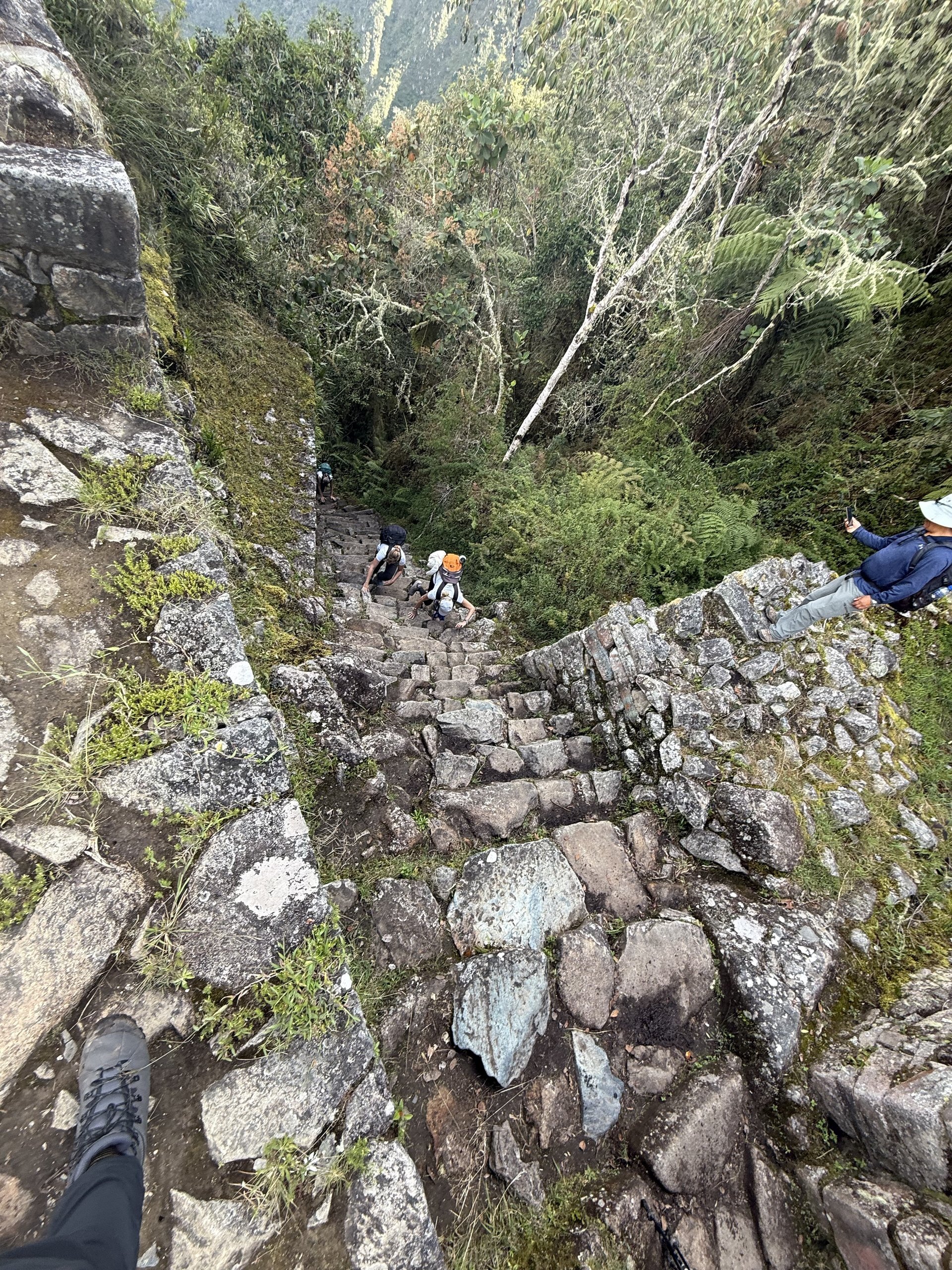 The Tourist Killer from above