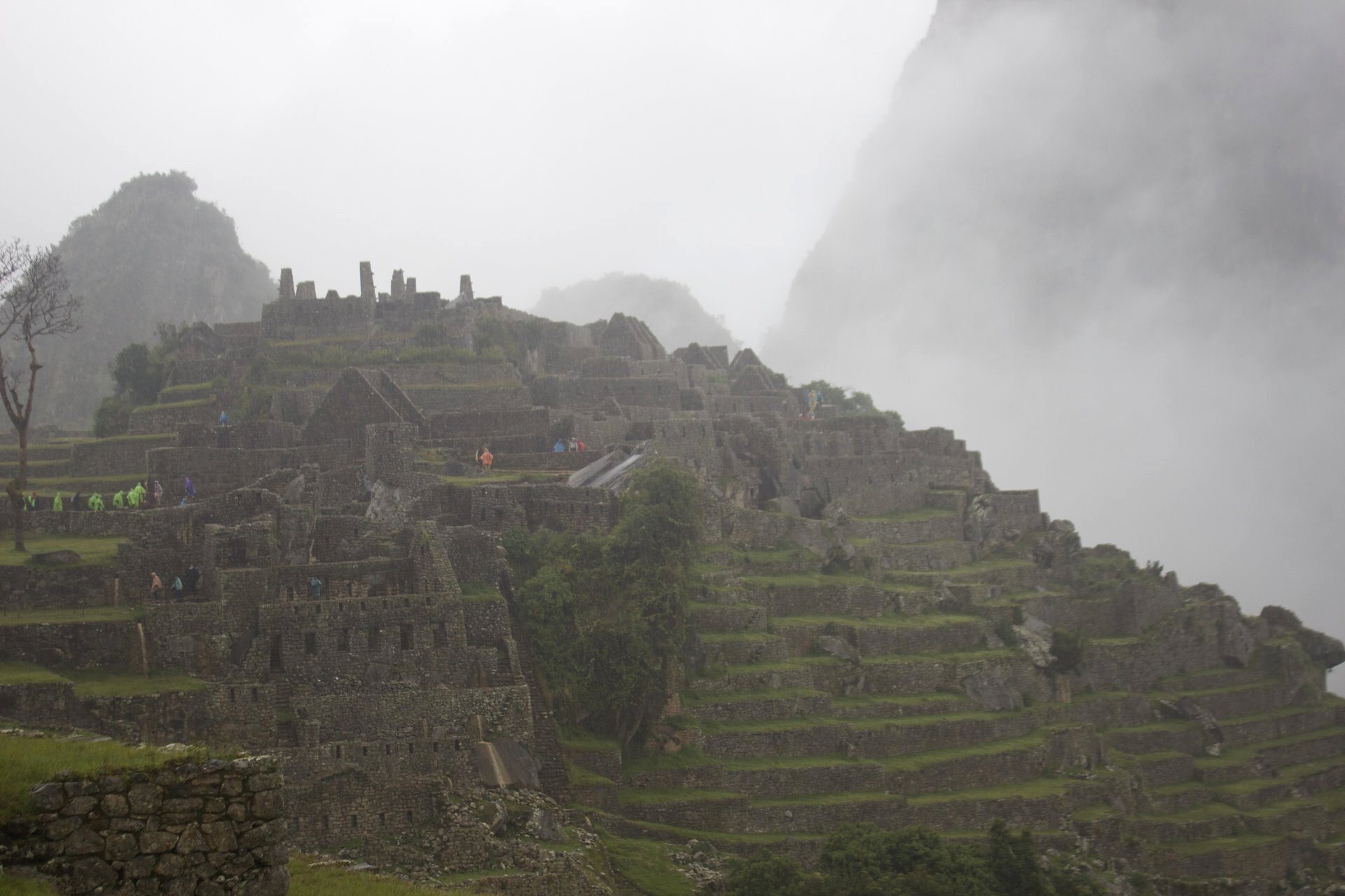 Misty Machu Picchu
