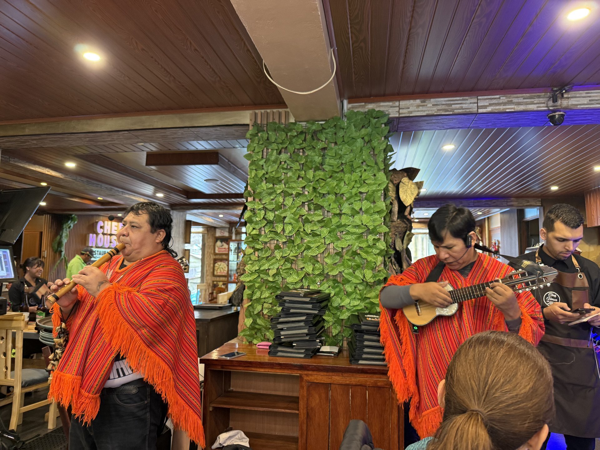 El Condor Pasa being perfomed with trad Peruvian instruments. The small stringed instrument is a Charango, it has a beautiful bright and gentle timbre from 5 courses