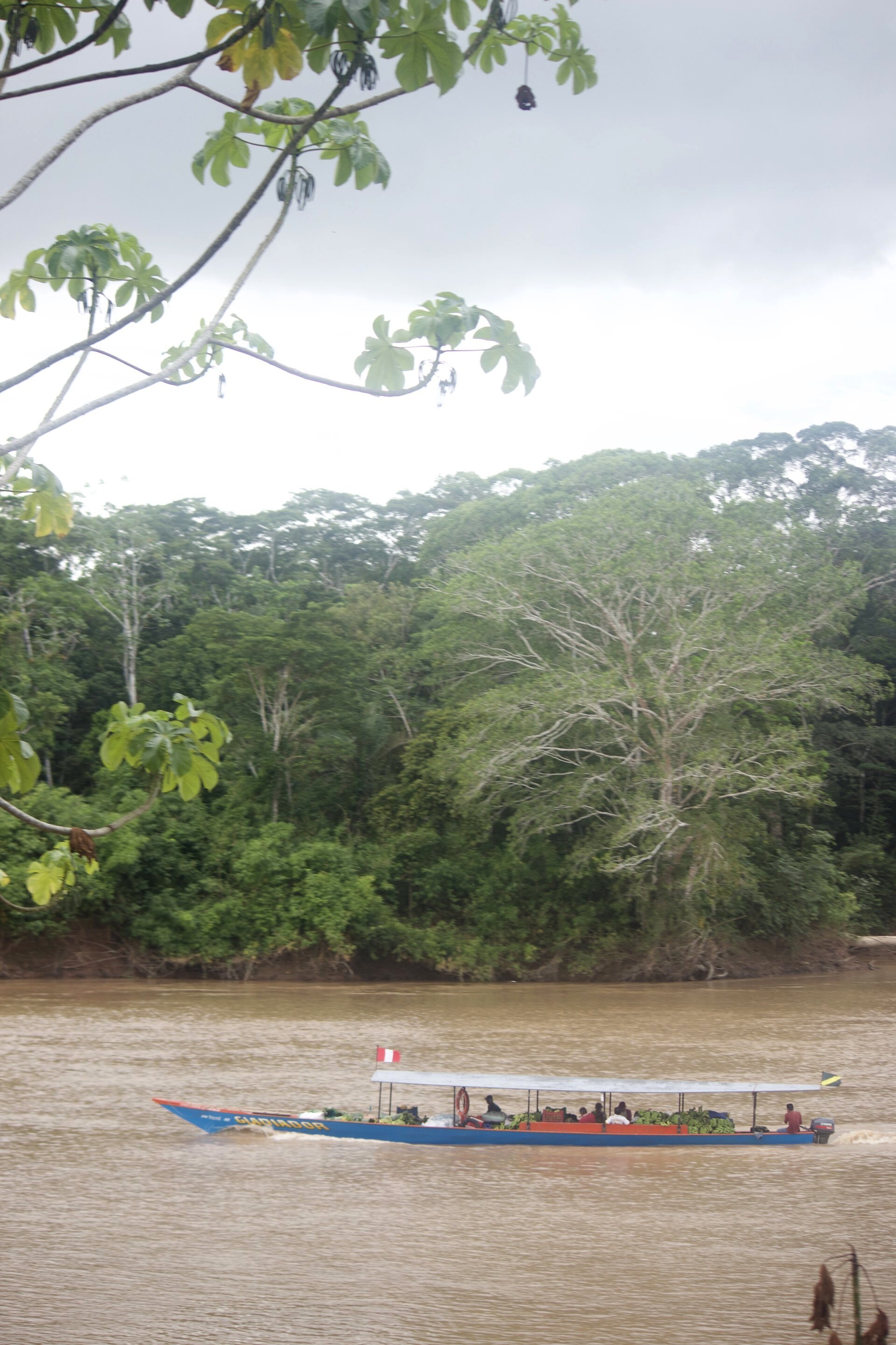 View of the river from the bungalow