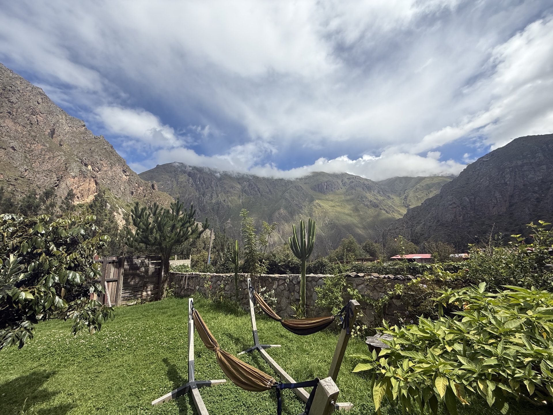 The backyard of our accommodation backyard