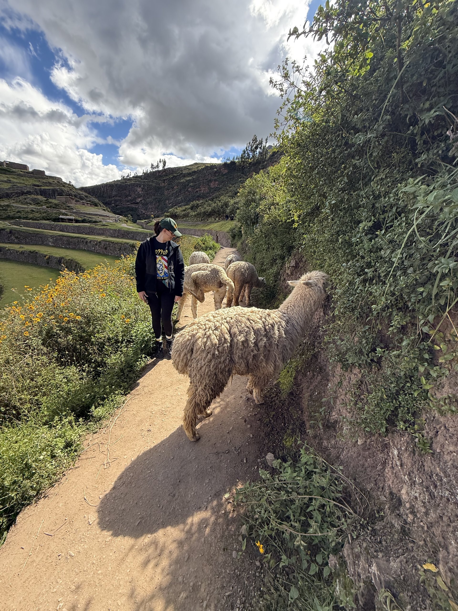 Pisac Traffic Jam